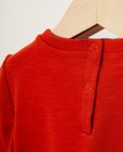 Sweaters - Oranjerode sweater met dinoprint