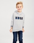 Sweaters - Grijze hoodie Hampton Bays
