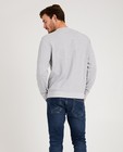 Sweaters - Grijze sweater met bouclé-print