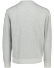 Sweaters - Grijze sweater met bouclé-print