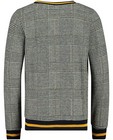 Sweaters - Grijze sweater met ruitenpatroon