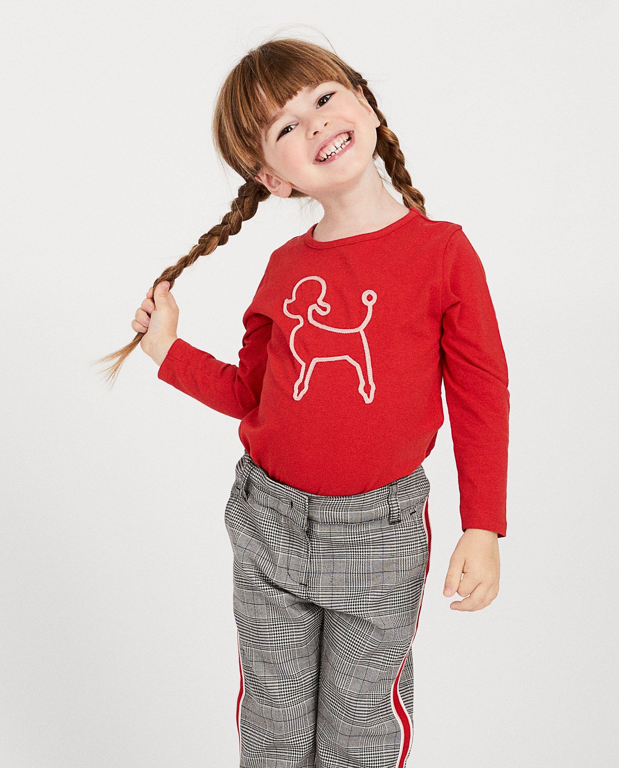 T-shirts - Longsleeve met geborduurde print