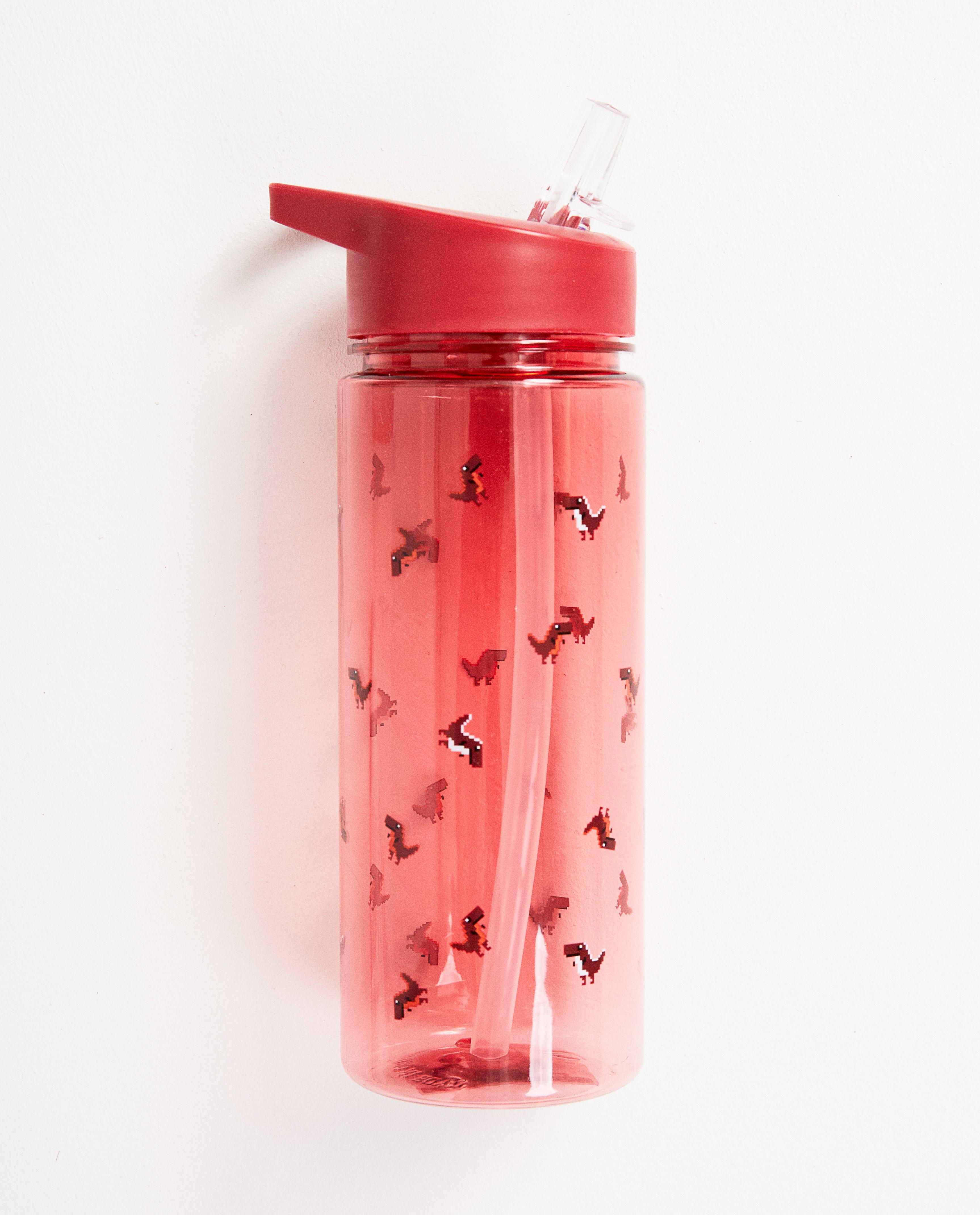 Gourde rouge, imprimé de dinos - transparente - JBC
