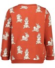 Sweaters - Roestbruine sweater Disney