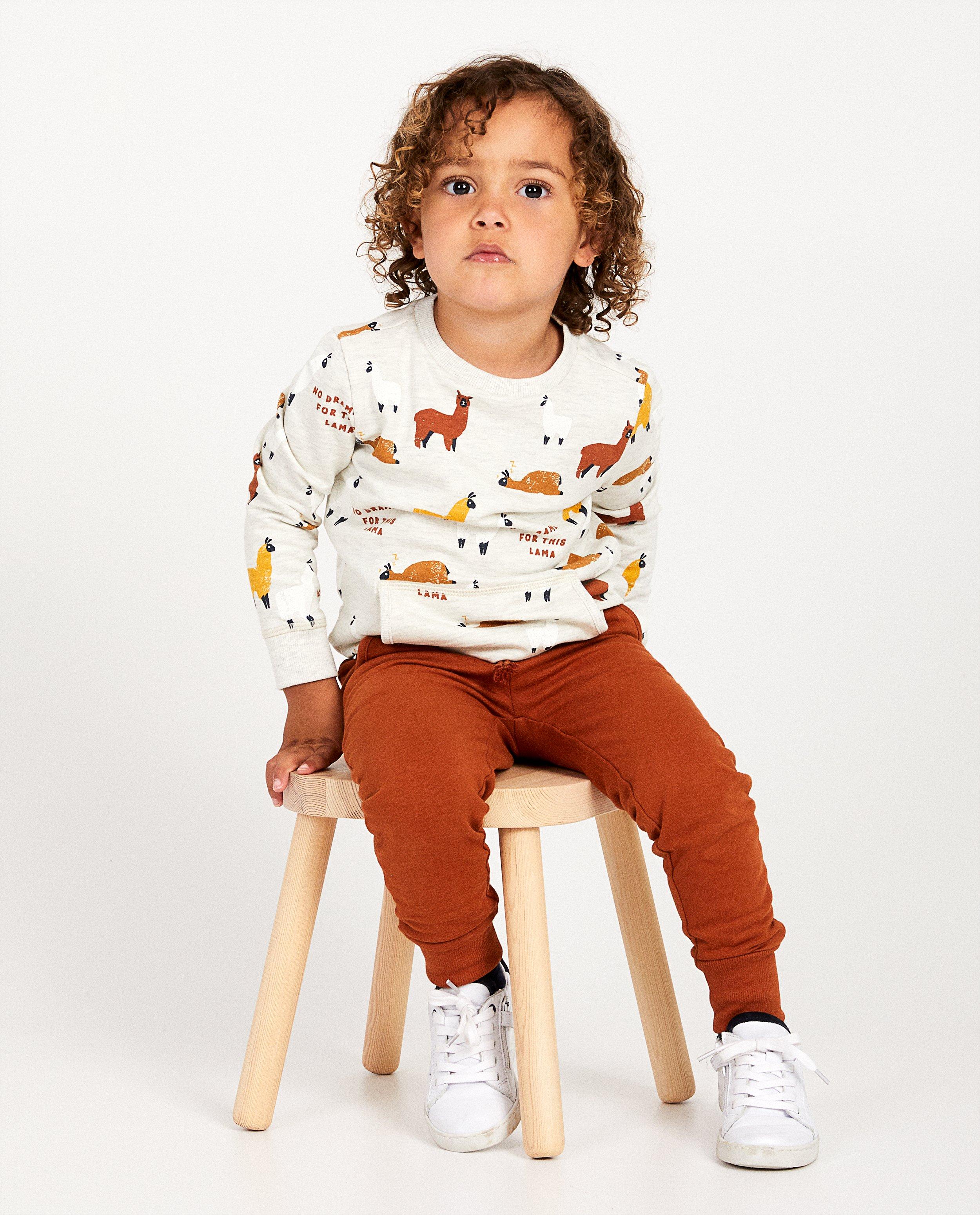 Sweats - Sweat gris clair, imprimé