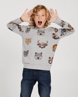 Sweaters - Grijze sweater met dierenkoppen