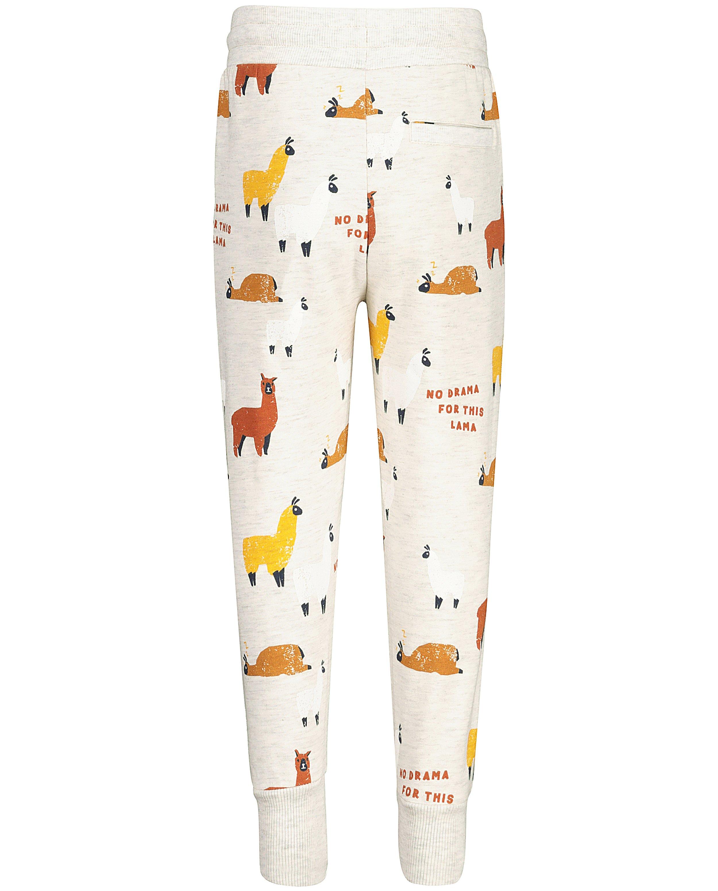 Broeken - Lichtgrijze broek met print