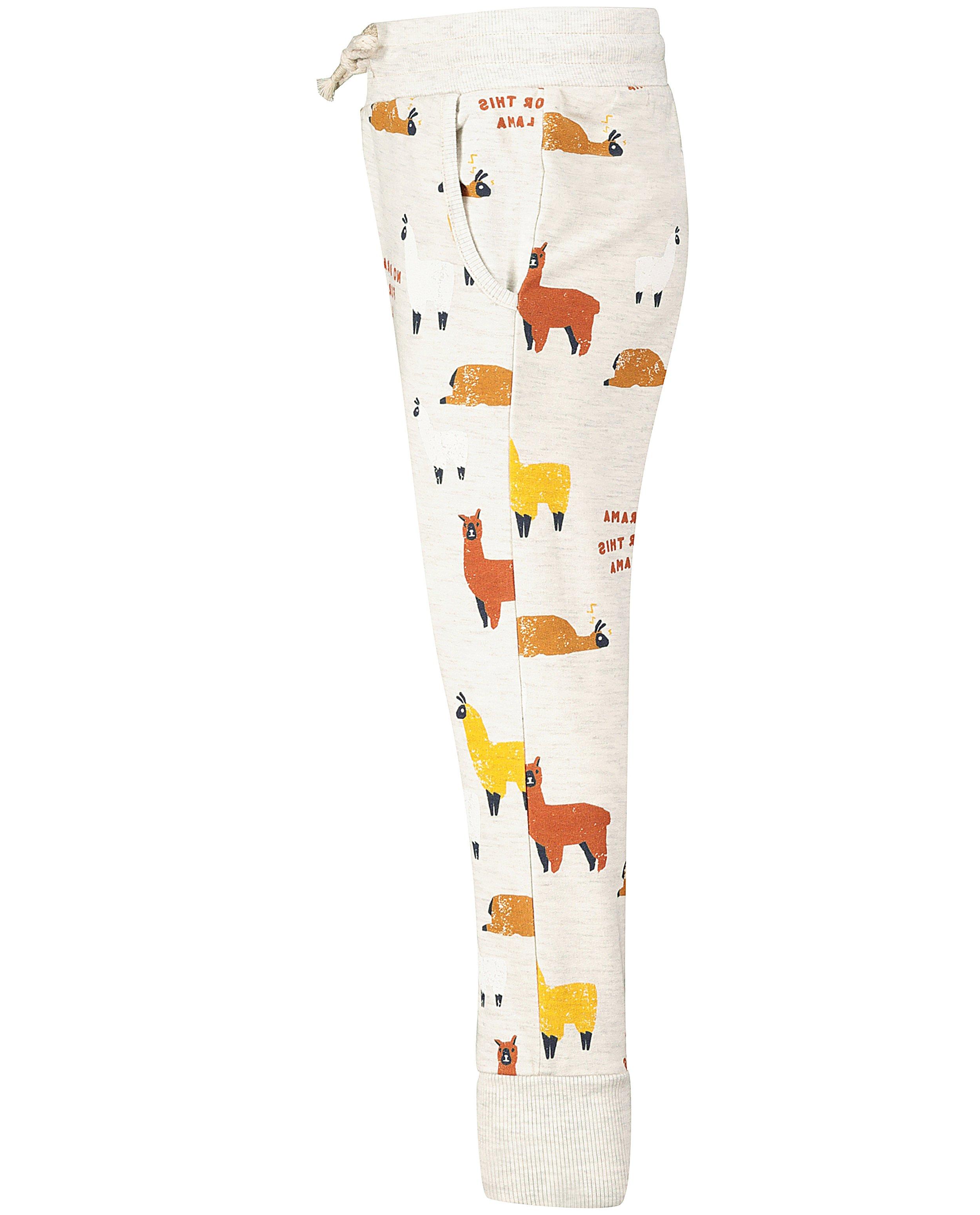 Broeken - Lichtgrijze broek met print