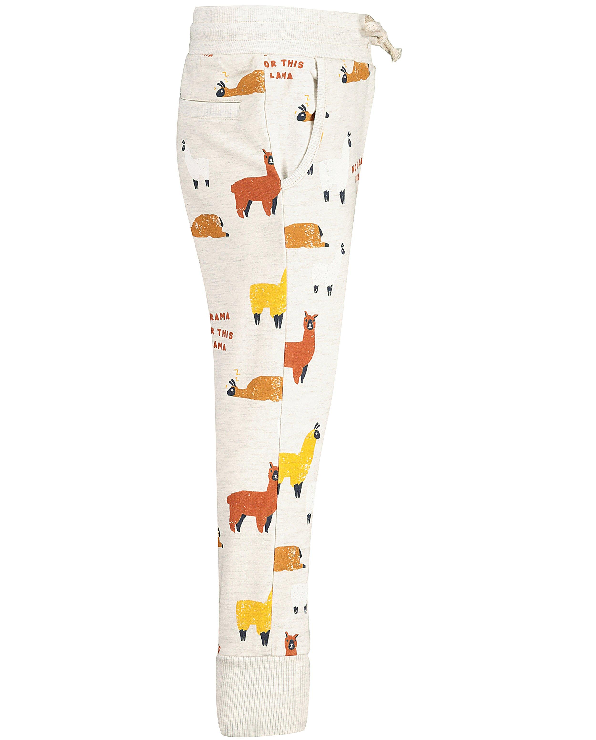 Broeken - Lichtgrijze broek met print