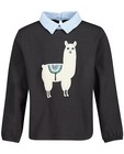 T-shirts - Blouse gris foncé avec un lama