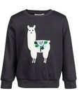 Sweaters - Antracietgrijze lama trui