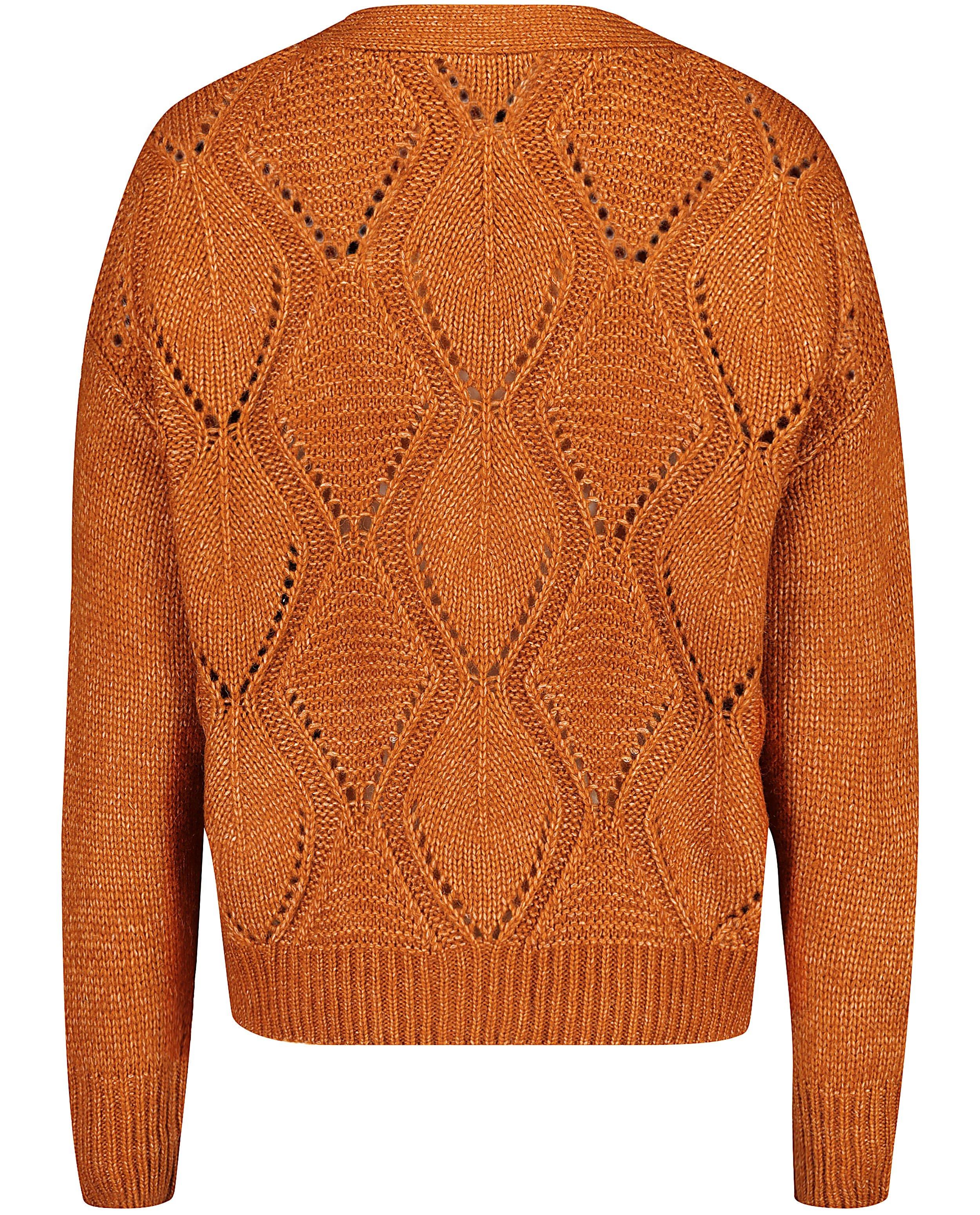 Cardigans - Roestbruin vest Karen Damen
