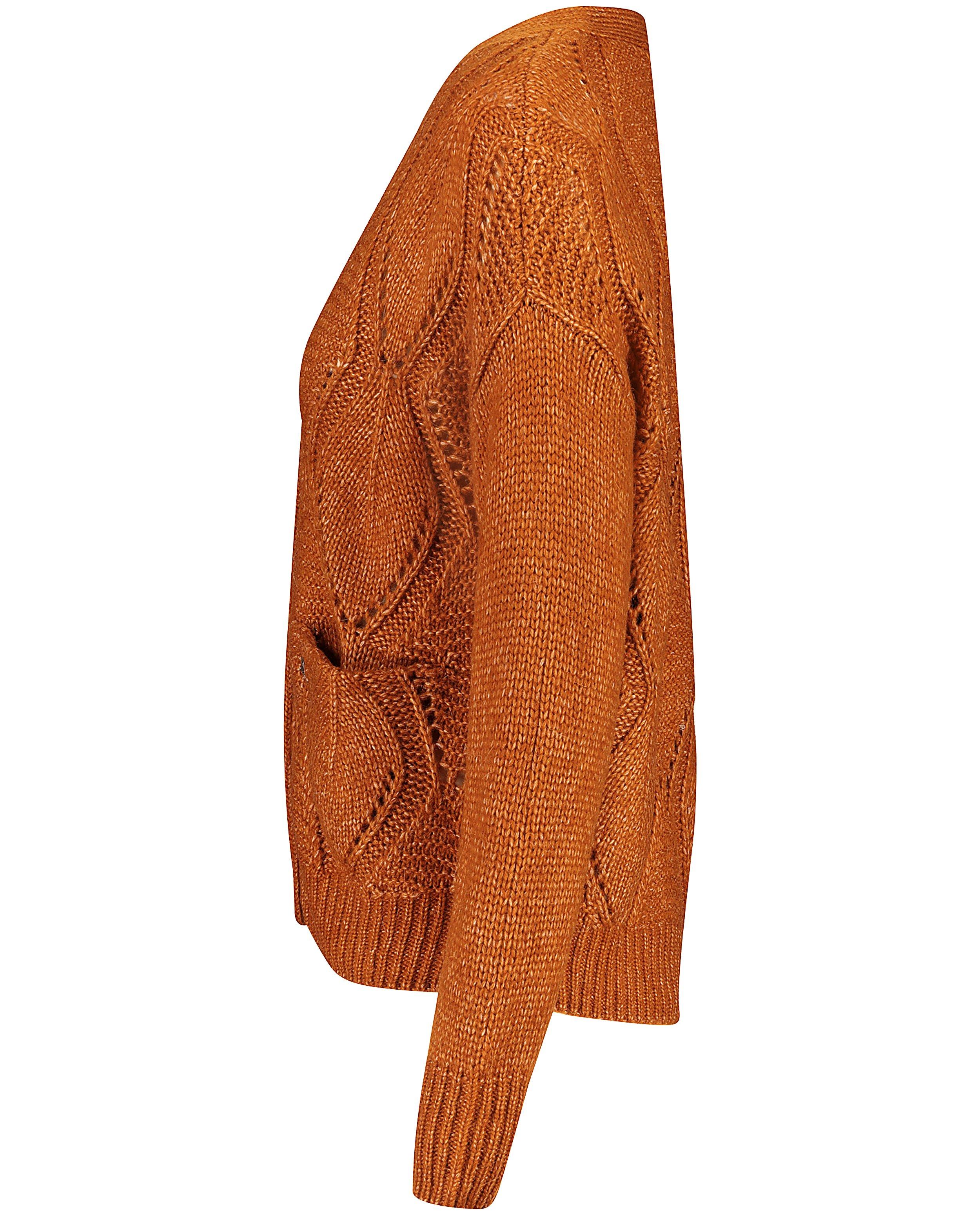 Cardigans - Roestbruin vest Karen Damen