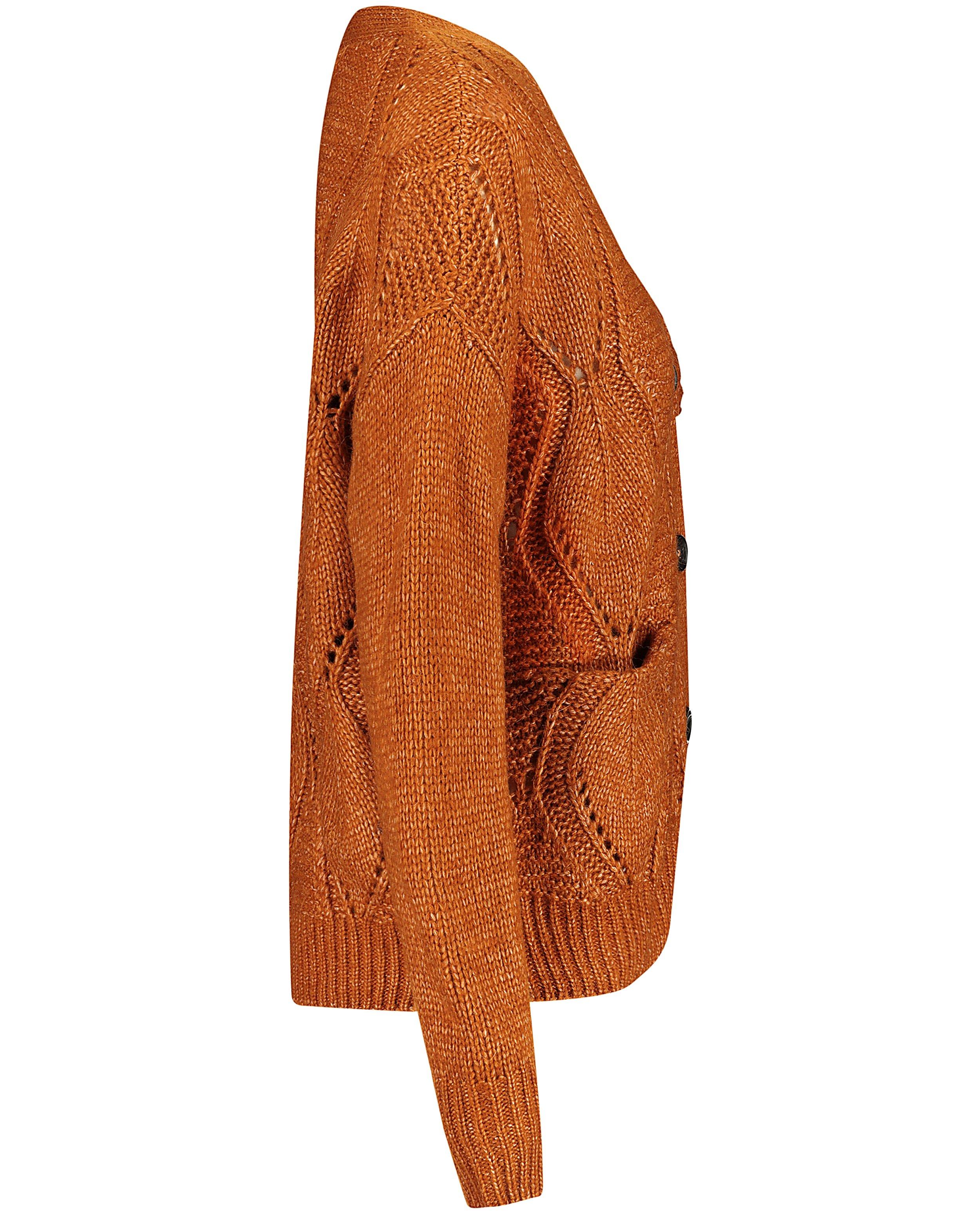 Cardigans - Roestbruin vest Karen Damen
