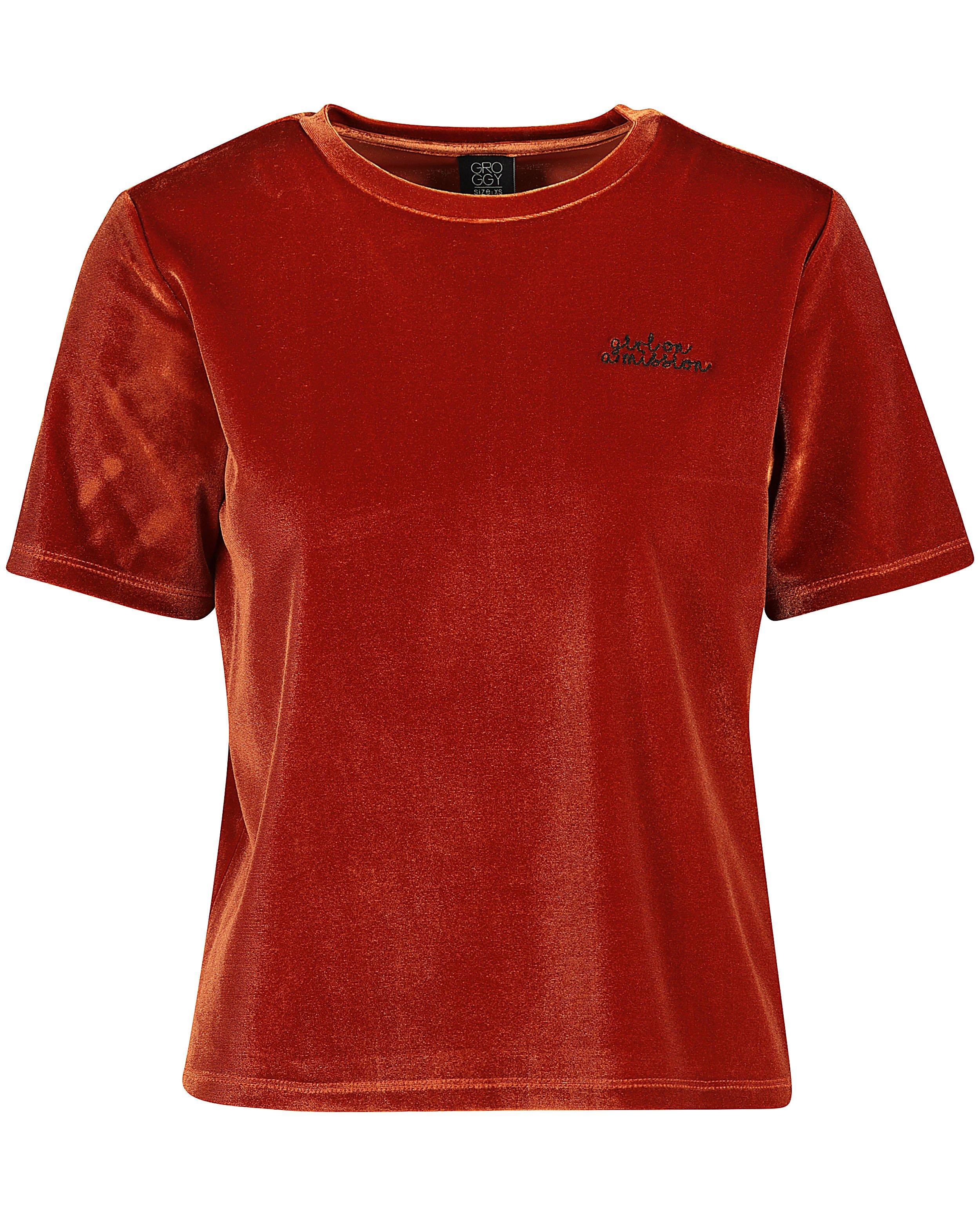 T-shirts - T-shirt van fluweel met opschrift