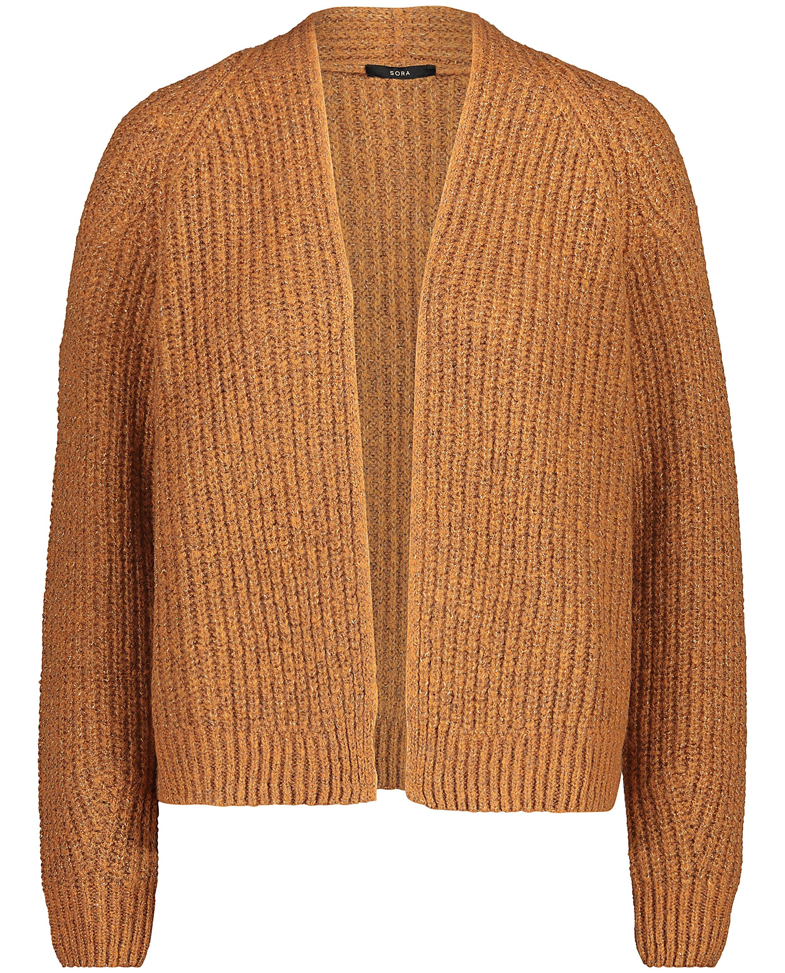 Cardigans - Cardigan cognac Sora