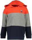 Sweaters - Hoodie met color block Wickie