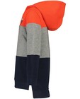 Sweaters - Hoodie met color block Wickie