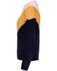 Truien - Gebreide trui met color block