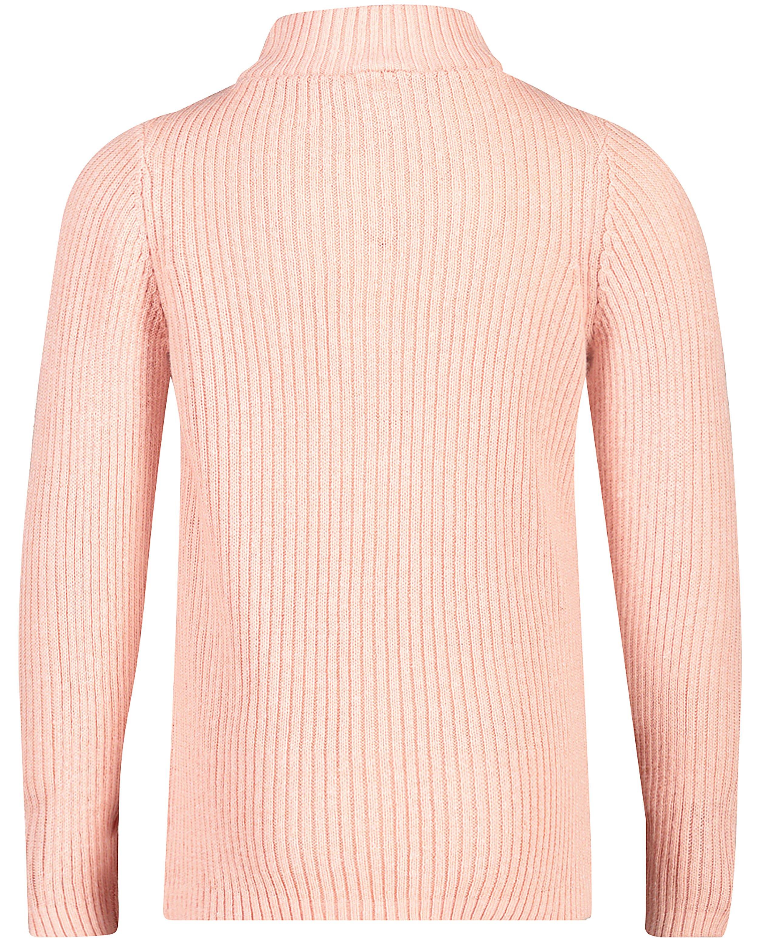 Truien - Roze trui met uil Hampton Bays
