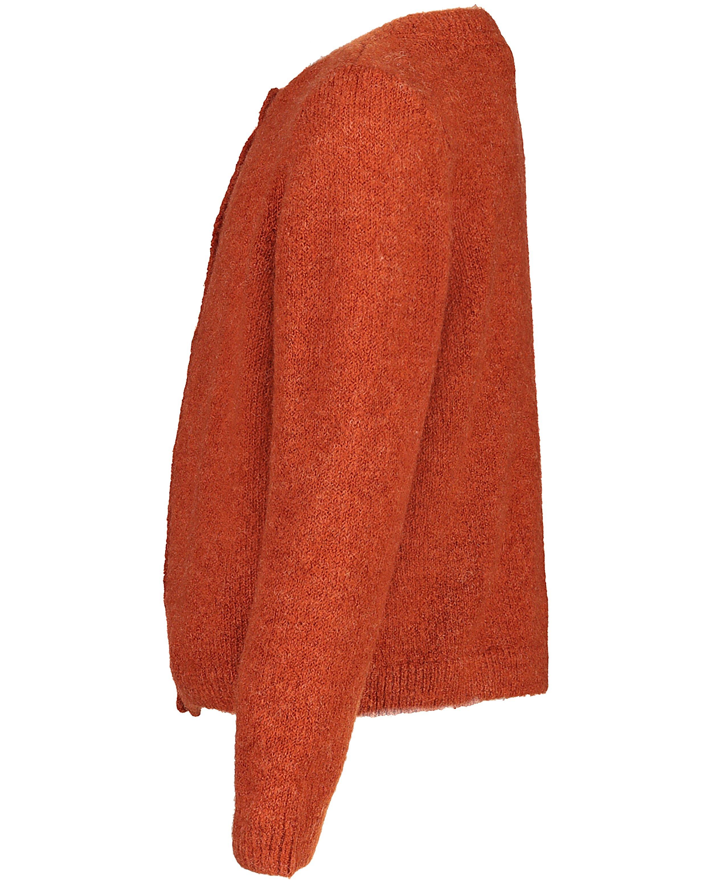 Cardigans - Roestbruin gebreide vest