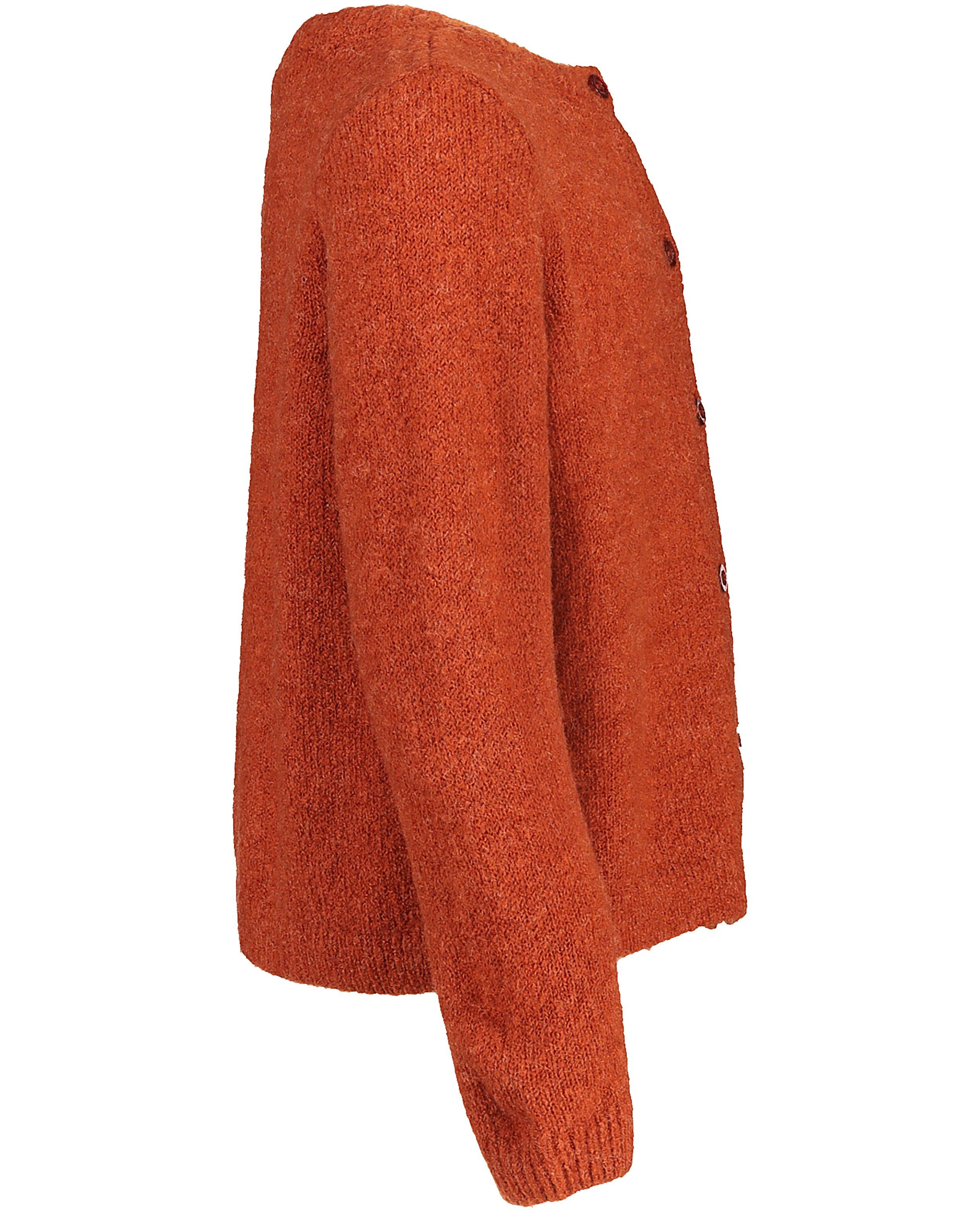 Cardigans - Roestbruin gebreide vest