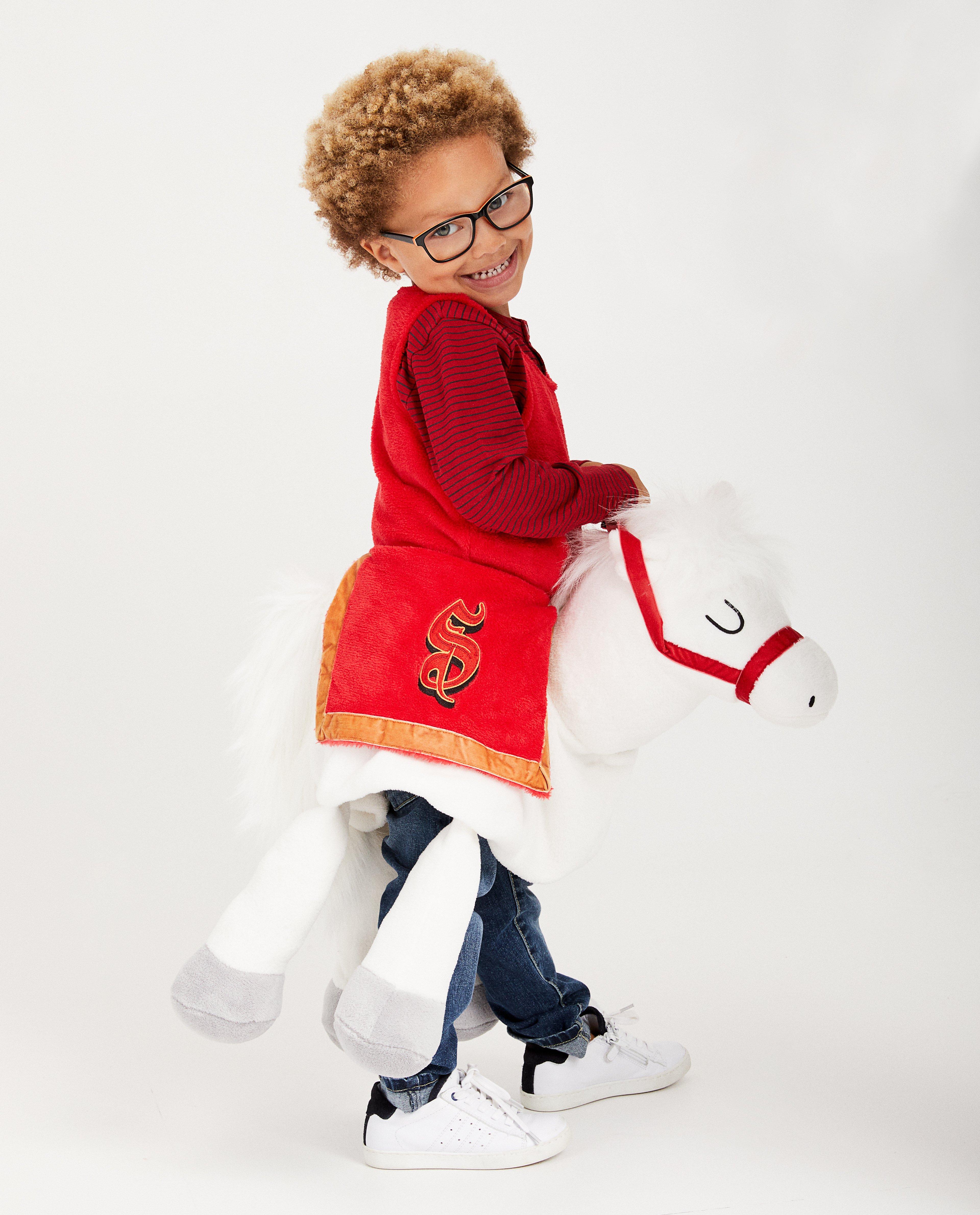 Paardenpak Dag Sinterklaas - Slechtweervandaag - Sinterklaas