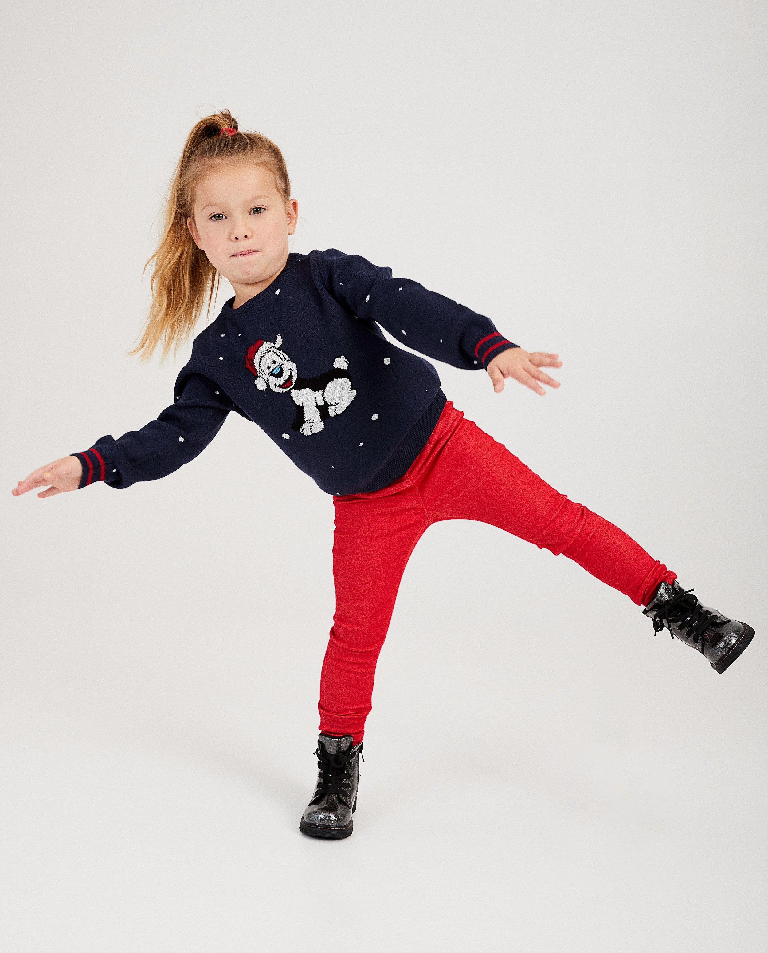 Pull de Noël bleu, Samson - #familystoriesJBC - Fred & Samson