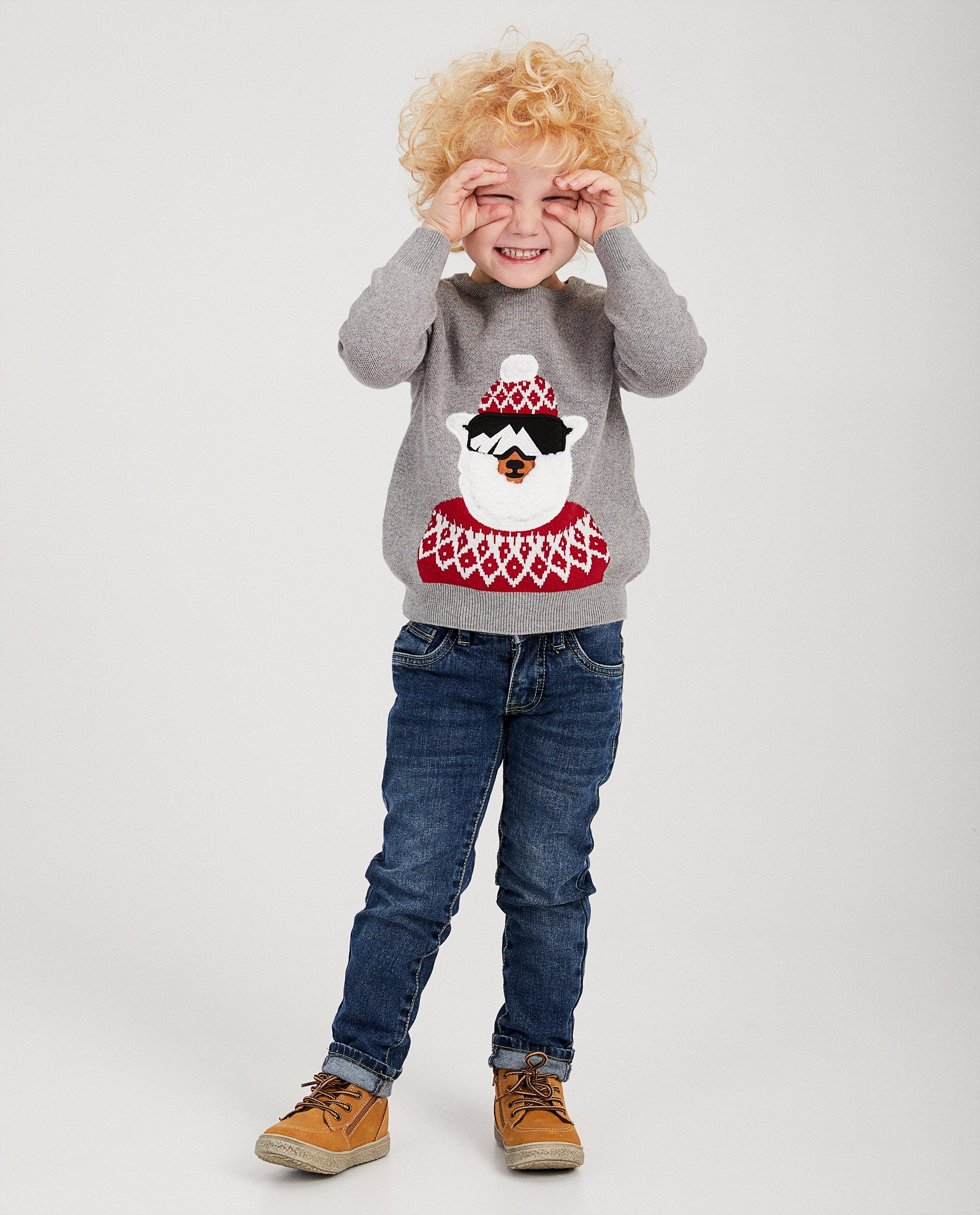Grijze trui met lama, 2-7 jaar - lama met skibril - JBC