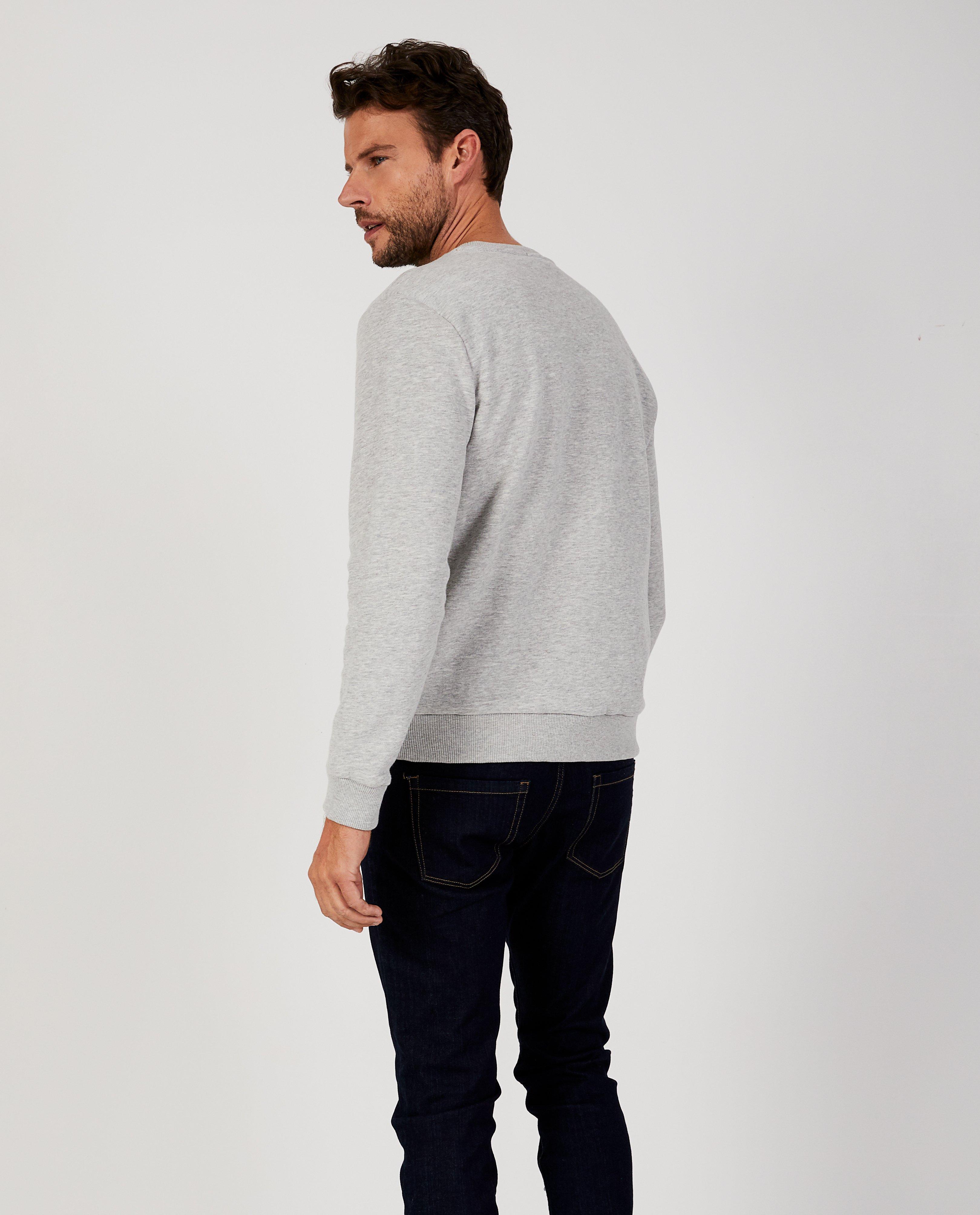 Sweaters - Lichtgrijze 'Plusdad' trui