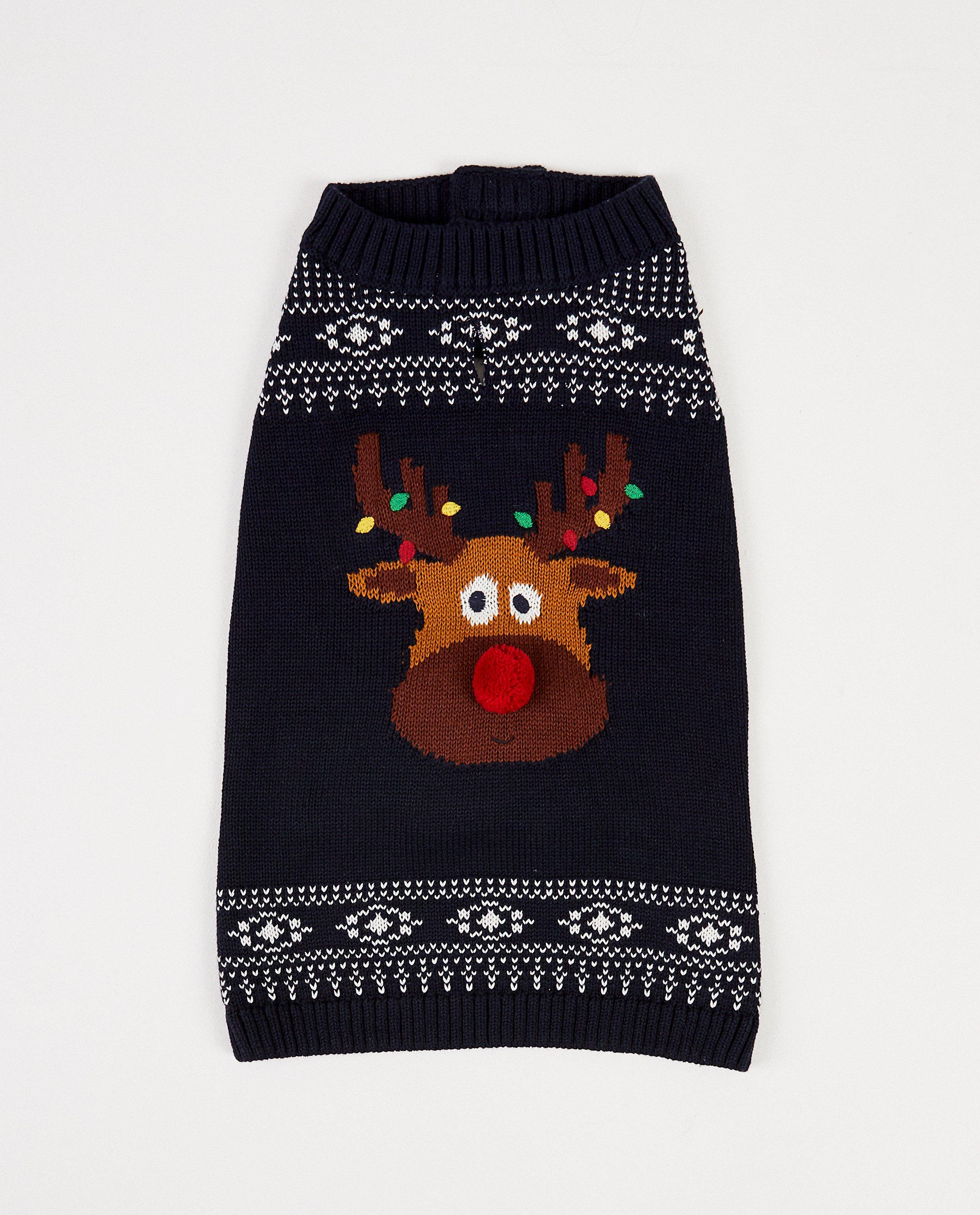 Blauwe kerst-trui voor honden - #familystoriesJBC - JBC