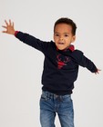 Sweaters - Blauwe rendier-sweater, 2-7 jaar