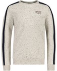 Sweaters - Lichtgrijze sweater met spikkels