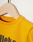 Sweaters - Gele sweater van biokatoen (NL)
