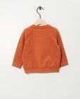 Sweaters - Roest sweater van biokatoen (NL)