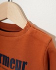 Sweaters - Roest sweater van biokatoen (NL)