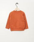 Sweaters - Roest sweater van biokatoen (FR)