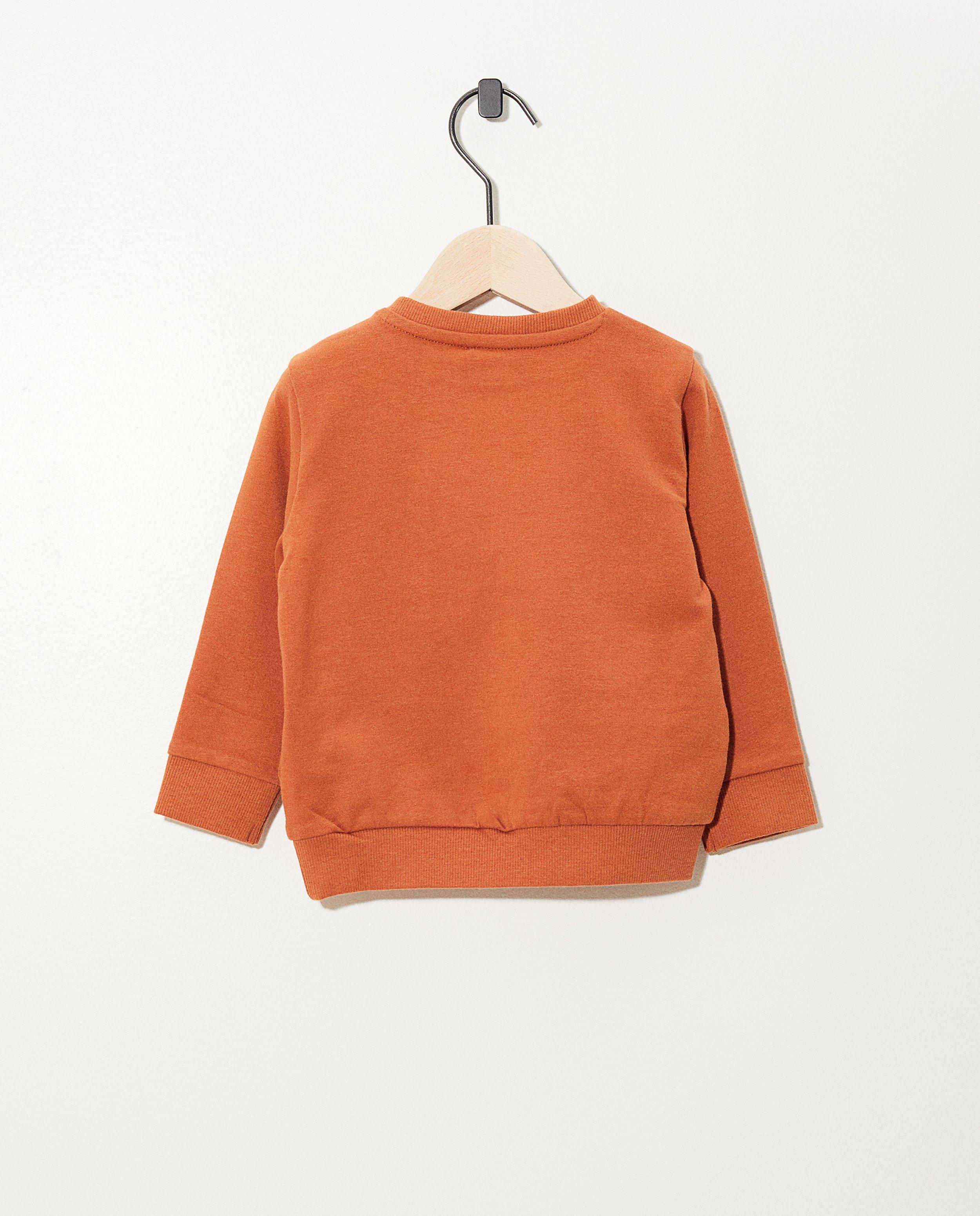 Sweaters - Roest sweater van biokatoen (FR)