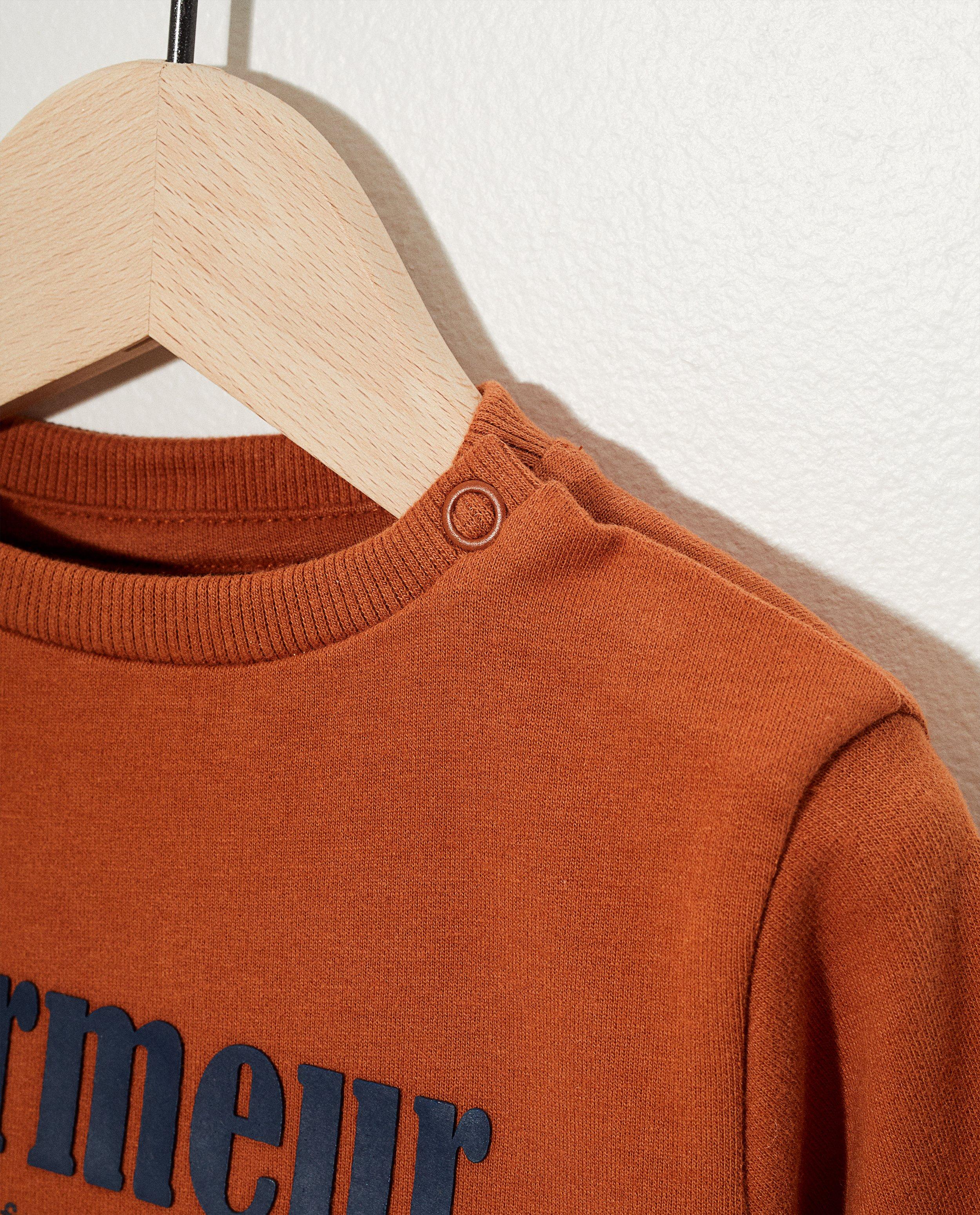 Sweaters - Roest sweater van biokatoen (FR)