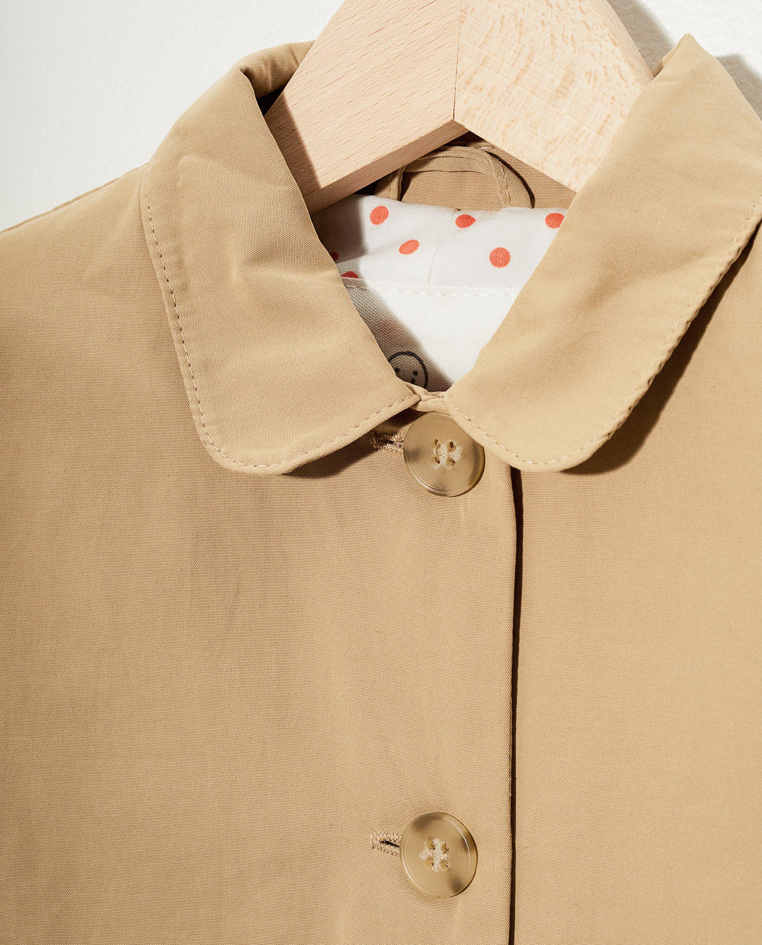 Poncho's en teddy's - 