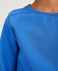 Sweaters - Blauwe sweater Nachtwacht