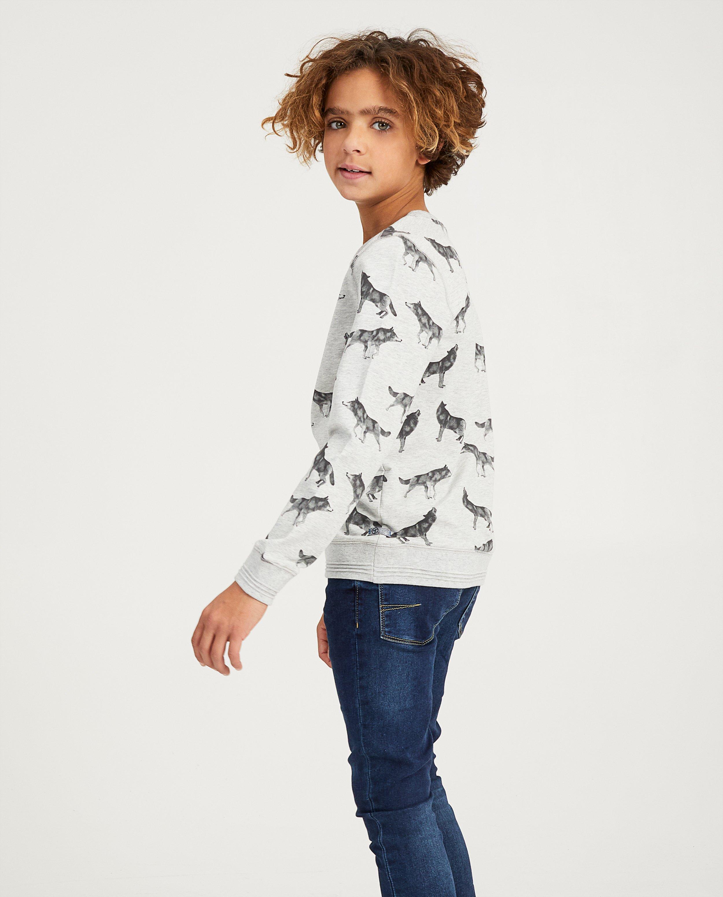 Sweats - Grijze sweater Nachtwacht