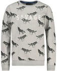 Sweats - Grijze sweater Nachtwacht
