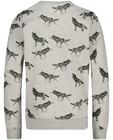 Sweaters - Grijze sweater Nachtwacht