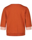 Sweaters - 2-kleurige sweater Hampton Bays