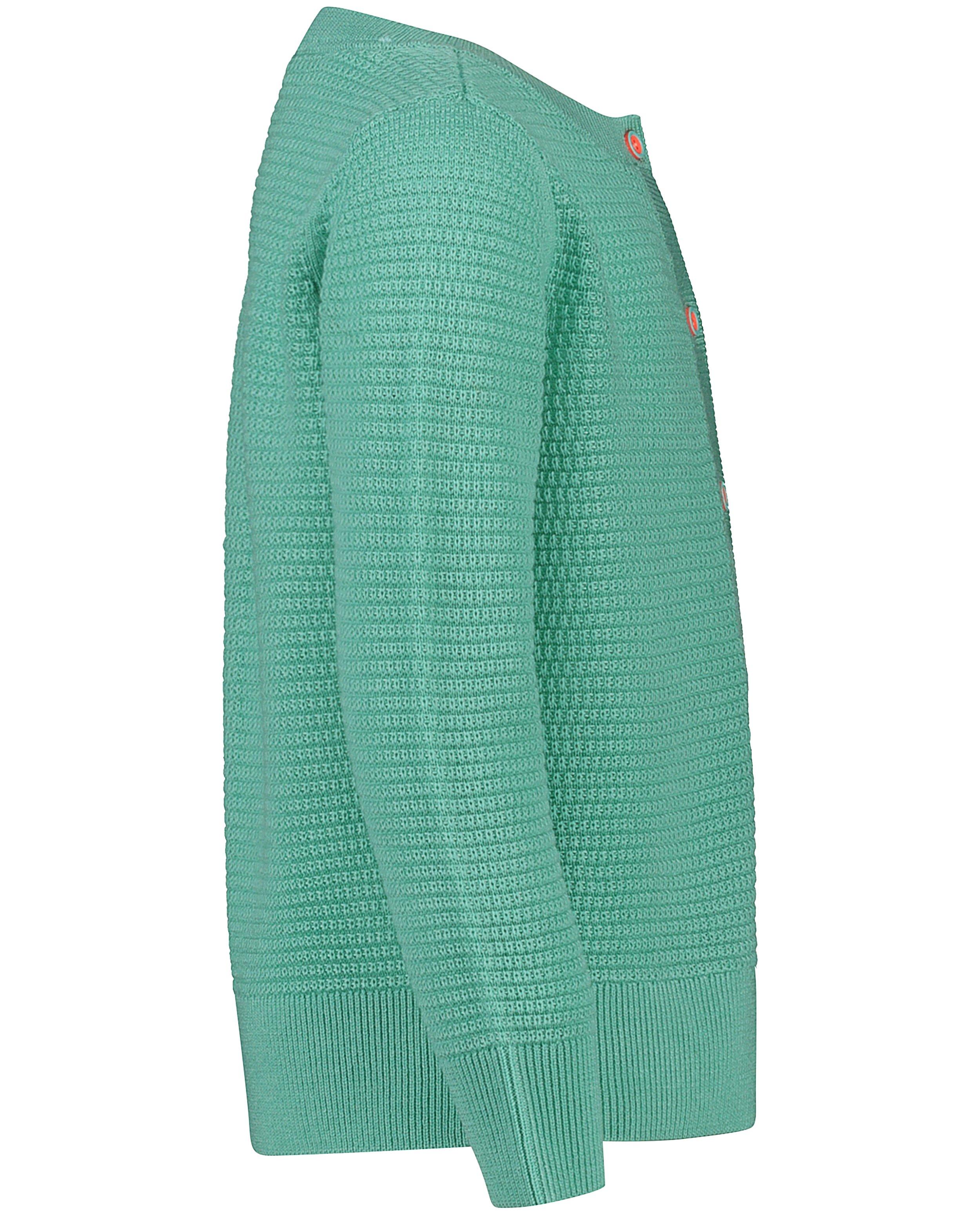Cardigans - 