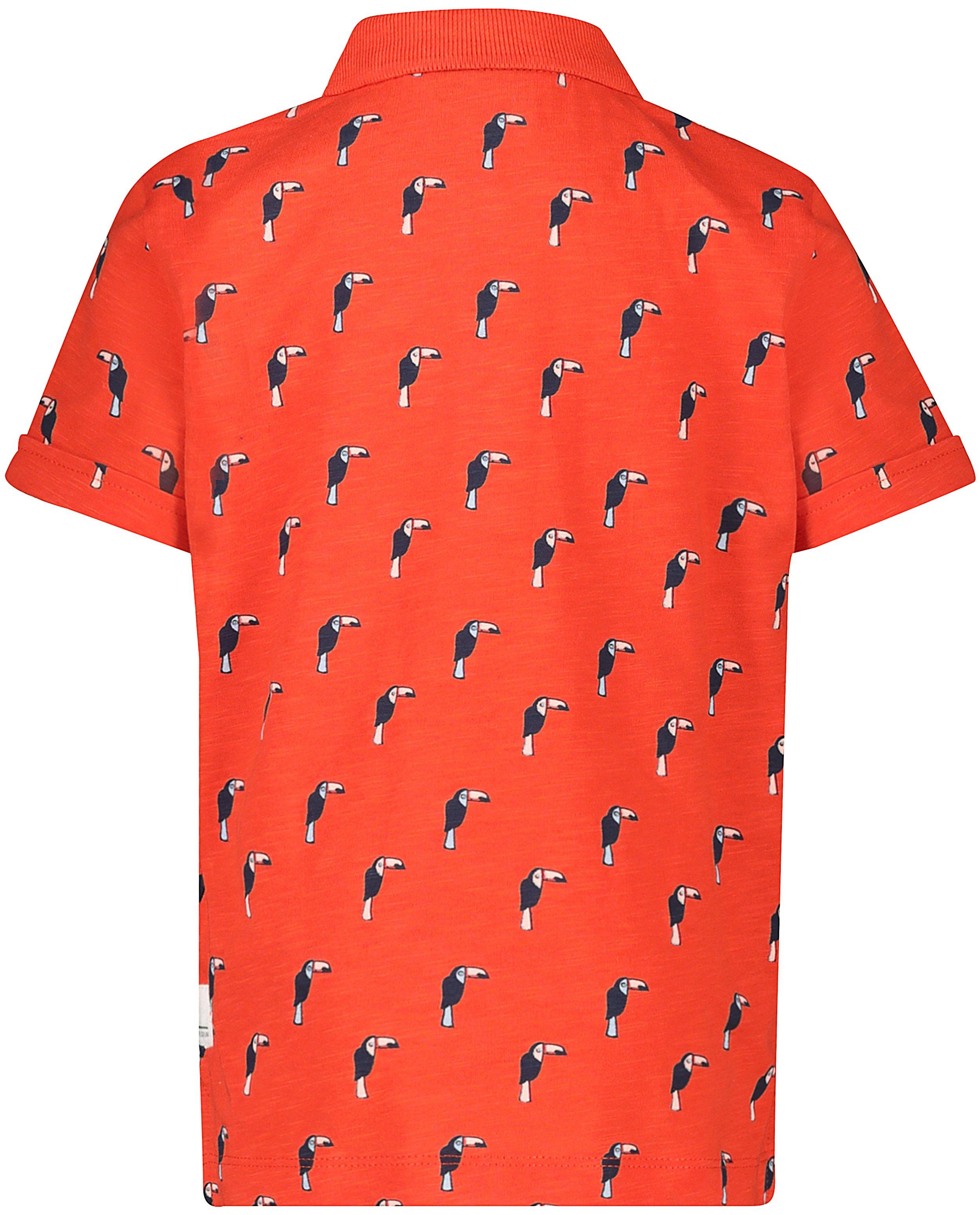 Polos - 
