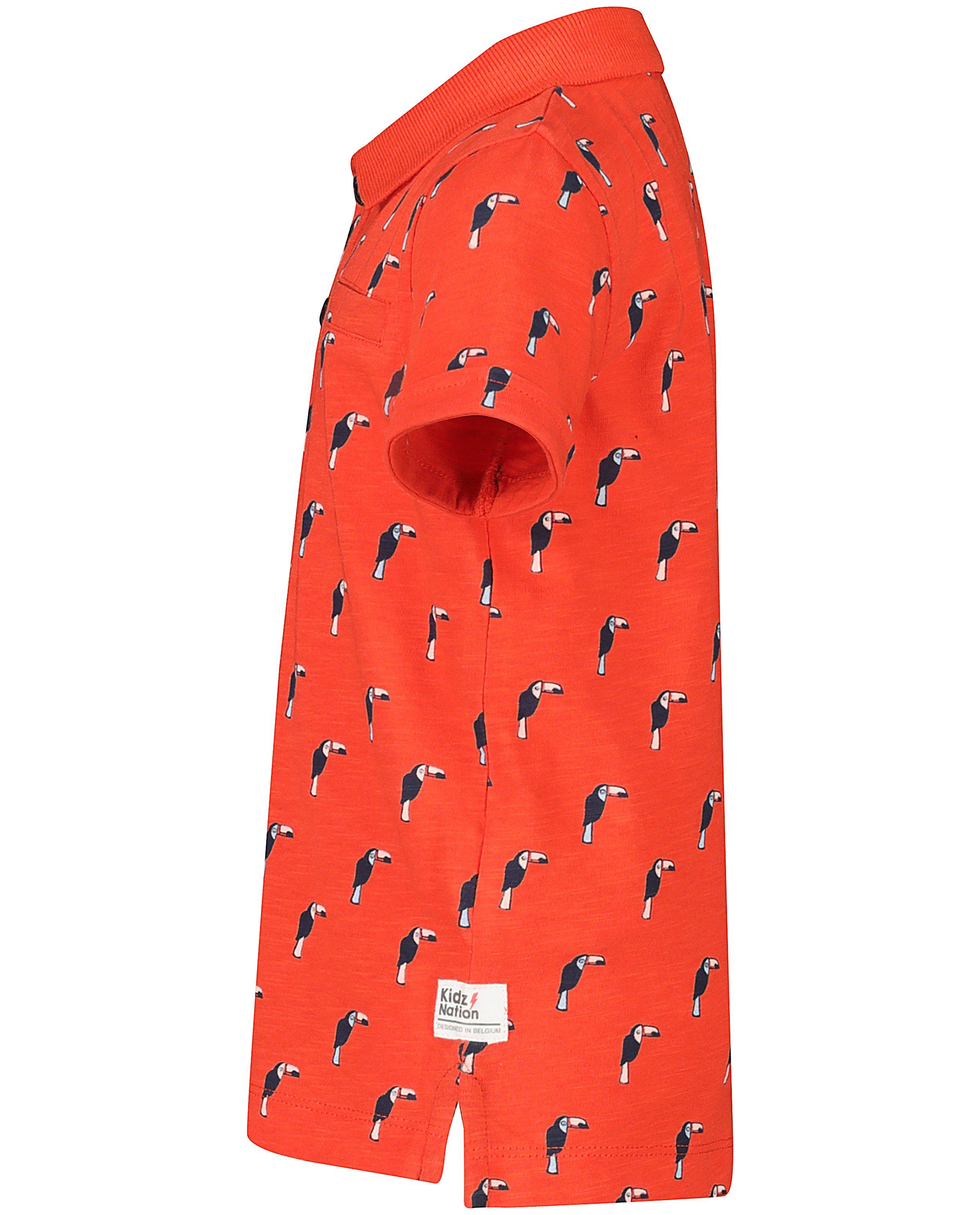 Polos - 