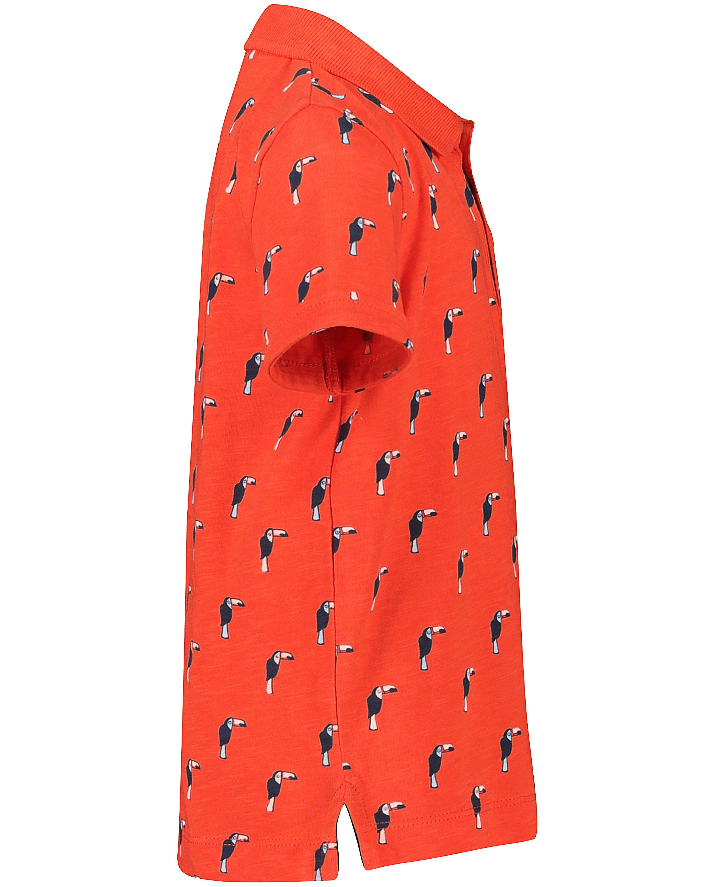 Polos - 