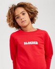 Sweaters - Rode unisex sweater Negenduust